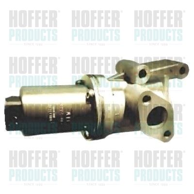EGR Valve HOFFER 7518126