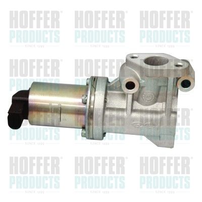 EGR Valve HOFFER 7518128