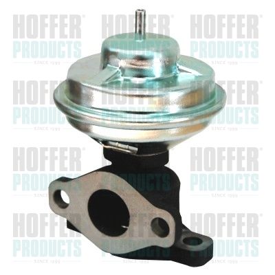 EGR Valve HOFFER 7518133