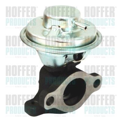 EGR Valve HOFFER 7518134