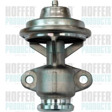 HOFFER 7518158 EGR Valve