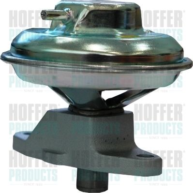 EGR Valve HOFFER 7518159