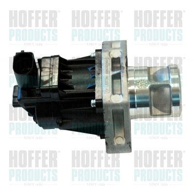 EGR Valve HOFFER 7518190