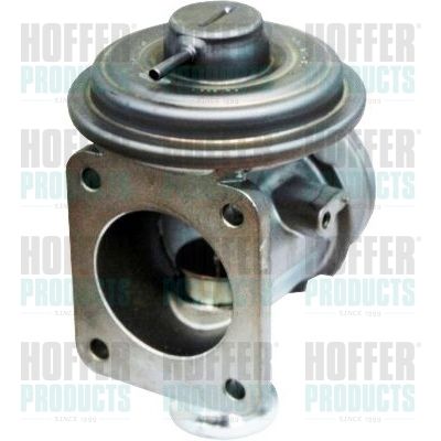 EGR Valve HOFFER 7518193