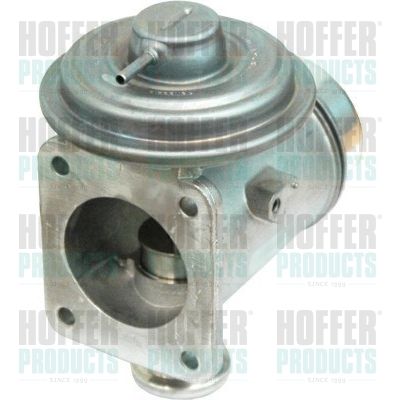 HOFFER 7518194 EGR Valve