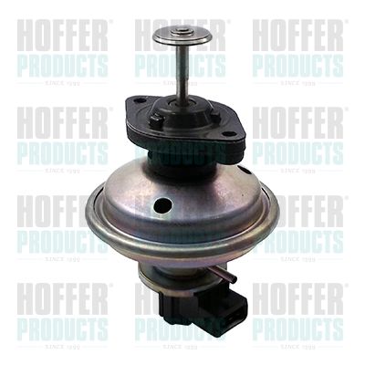 HOFFER 7518195 EGR Valve