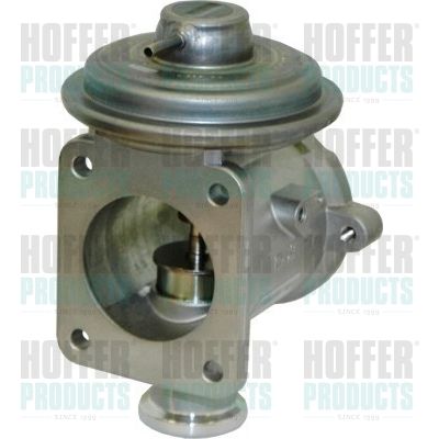 HOFFER 7518196 EGR Valve