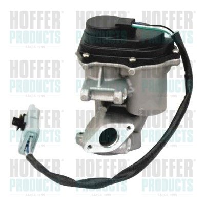 EGR Valve HOFFER 7518197R
