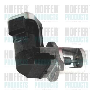 EGR Valve HOFFER 7518204