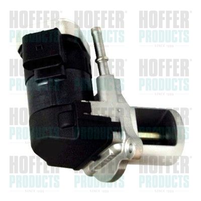 EGR Valve HOFFER 7518206