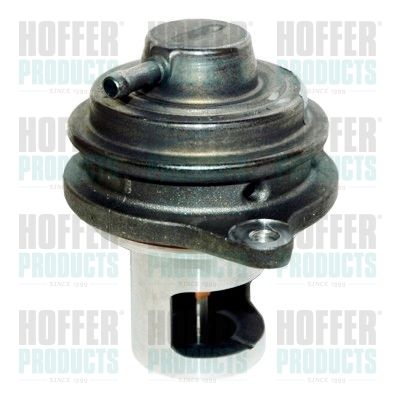 EGR Valve HOFFER 7518211