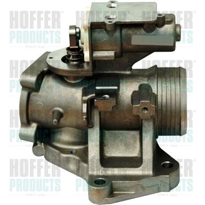 EGR Valve HOFFER 7518212