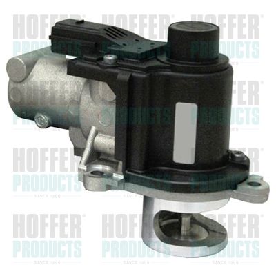 EGR Valve HOFFER 7518213
