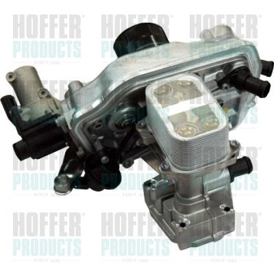 EGR Valve HOFFER 7518217