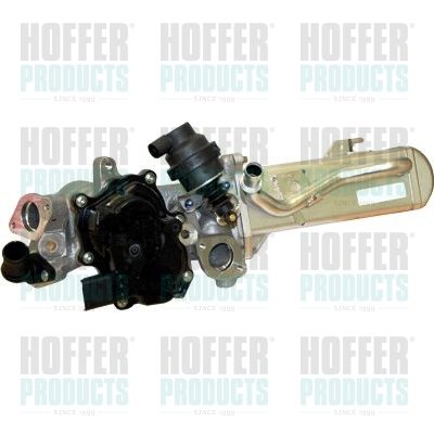 EGR Valve HOFFER 7518221