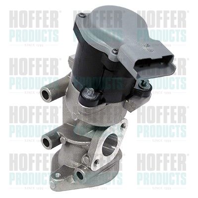 EGR Valve HOFFER 7518224
