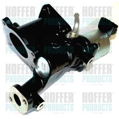 EGR Valve HOFFER 7518228
