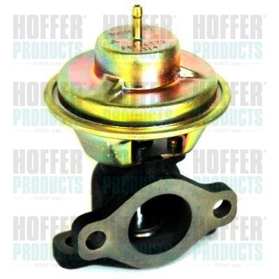 EGR Valve HOFFER 7518236