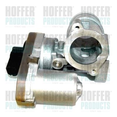 EGR Valve HOFFER 7518239