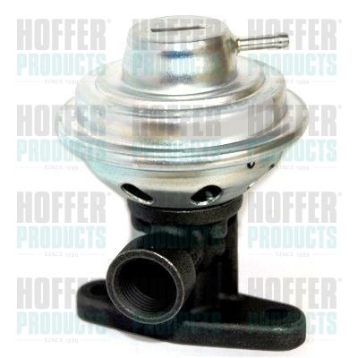 EGR Valve HOFFER 7518246
