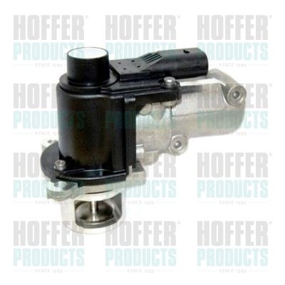 EGR Valve HOFFER 7518248