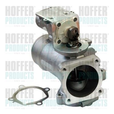 EGR Valve HOFFER 7518249