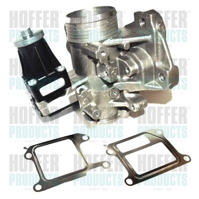 EGR Valve HOFFER 7518252