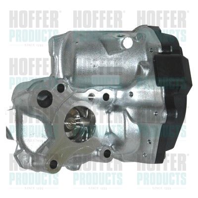 EGR Valve HOFFER 7518257