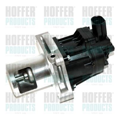 EGR Valve HOFFER 7518261