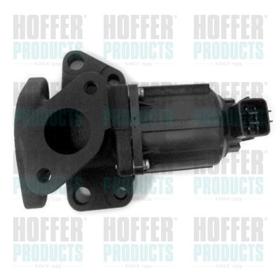 EGR Valve HOFFER 7518262