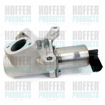 EGR Valve HOFFER 7518265