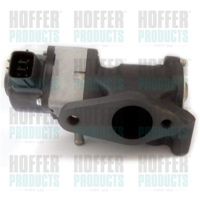 EGR Valve HOFFER 7518269