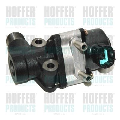 EGR Valve HOFFER 7518273