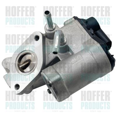 EGR Valve HOFFER 7518279