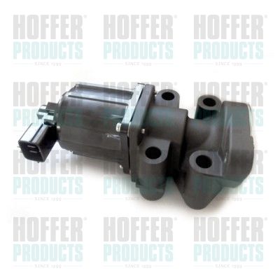EGR Valve HOFFER 7518285