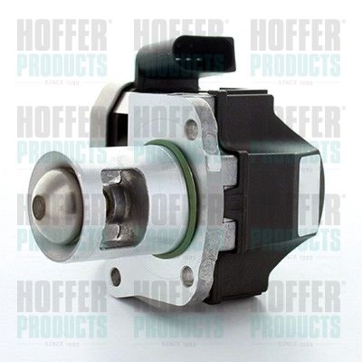 EGR Valve HOFFER 7518292