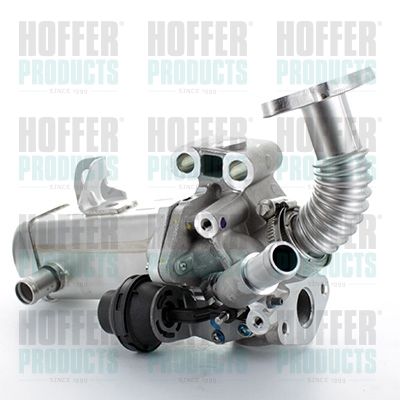 EGR Valve HOFFER 7518298