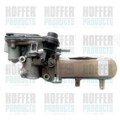 EGR Valve HOFFER 7518299