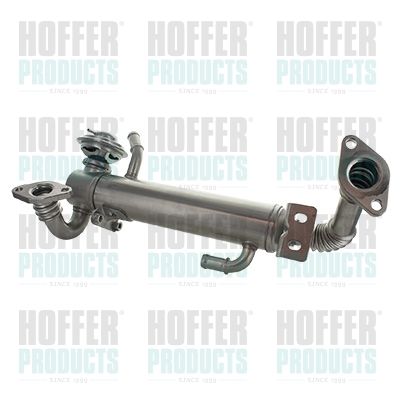 EGR Valve HOFFER 7518301