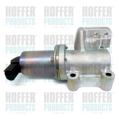 EGR Valve HOFFER 7518304