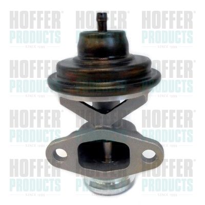 EGR Valve HOFFER 7518307