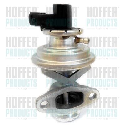 EGR Valve HOFFER 7518308