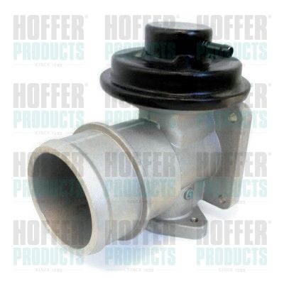EGR Valve HOFFER 7518309