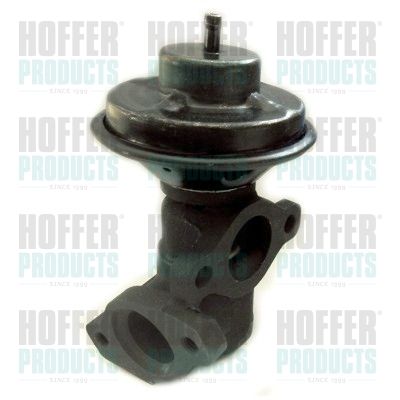 EGR Valve HOFFER 7518310