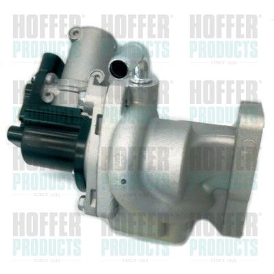 EGR Valve HOFFER 7518311