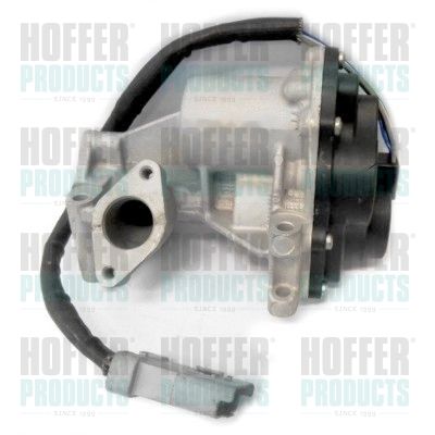 EGR Valve HOFFER 7518316R