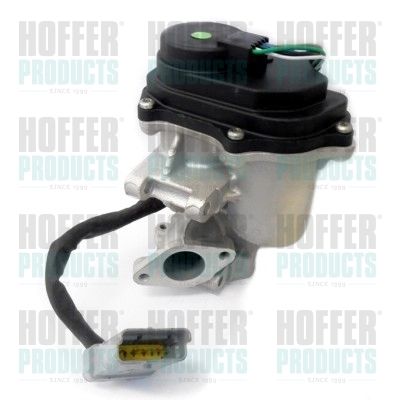 EGR Valve HOFFER 7518317R