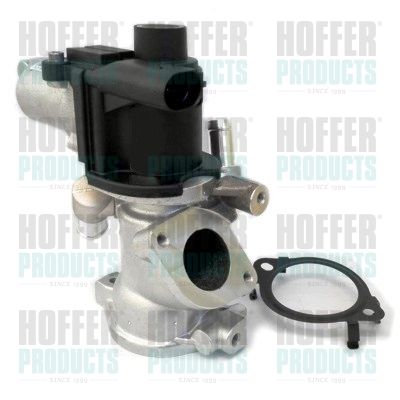 EGR Valve HOFFER 7518322