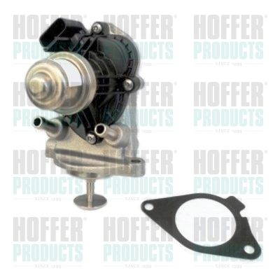 EGR Valve HOFFER 7518336
