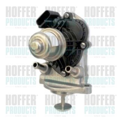 EGR Valve HOFFER 7518336R